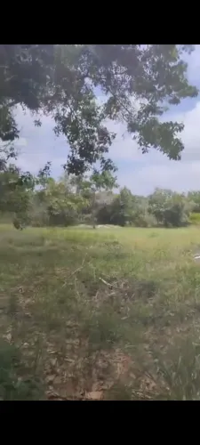 terreno área de cachacara 