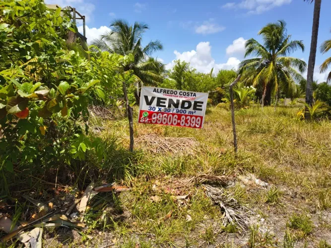 Dois lotes juntos Porto de Pedras, Paria Tatuamunha, proximo ao Mar.