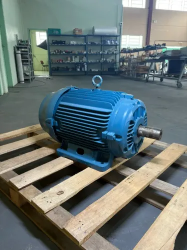 Motor 25 Cv