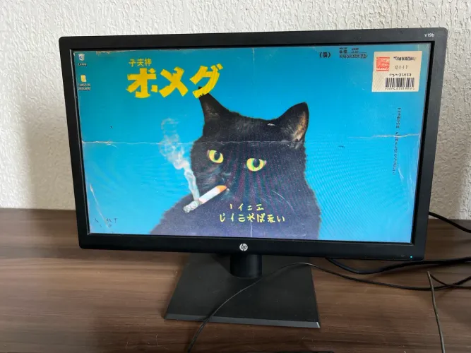 Monitor HP v19b