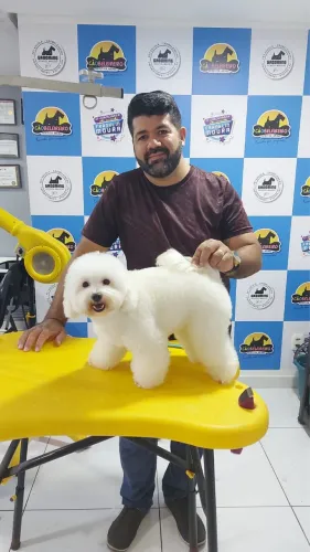 Vendo poodle inglês legítimo branco
