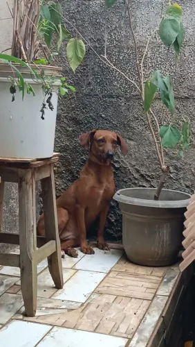 Doação 