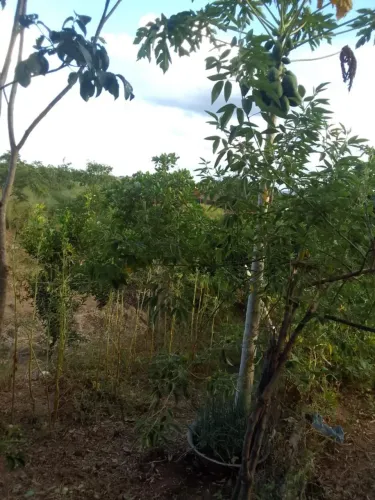 Vende se terreno 500 metros
