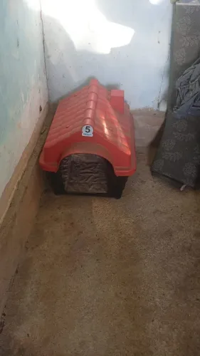 Casinha de cachorro número 5