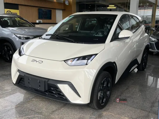 BYD Dolphin Mini GL 2026