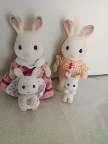 Família de coelhinho semi novos