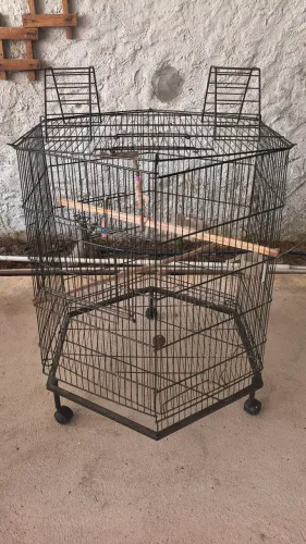 GAIOLA GRANDE PARA CALOPSITA