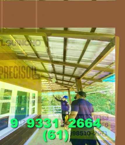 Dedetização: acabe com baratas e formigas de forma rápida e eficaz!