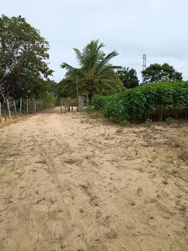 Terra no Sítio Piabas Zona Rural De Bom Jesus RN