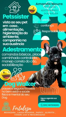 Adestramento