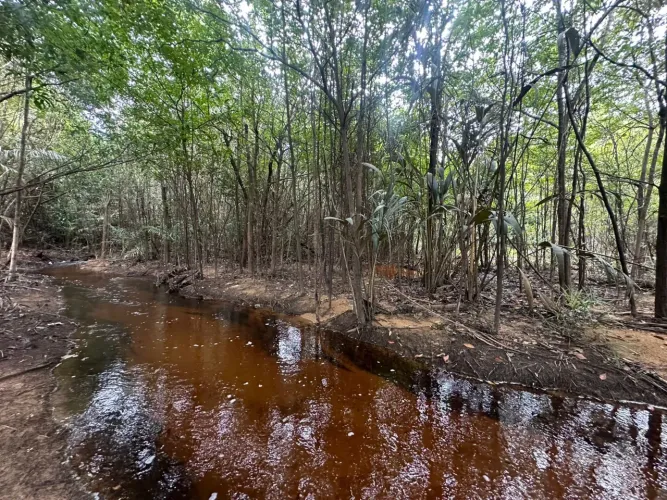 Terreno açutuba, acesso direto na pista 20x60