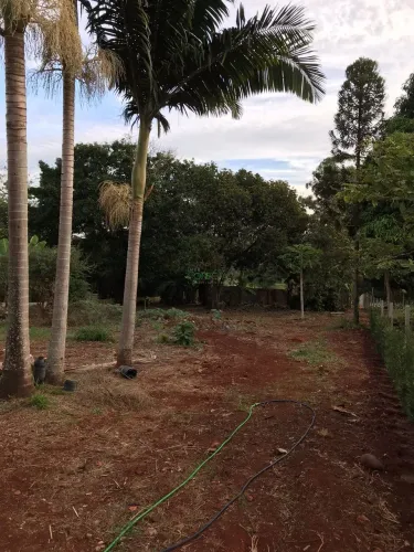 Chácara Av. das Maritacas | Londrina