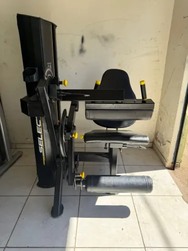 Cadeira flexora e extensora conjugado semi nova 