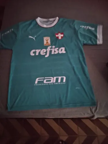 Vendo uma camisa do palmeiras