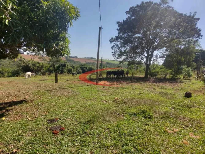 Excelente Sítio com 1 Alqueire e 1/2 ! Sta Izabel