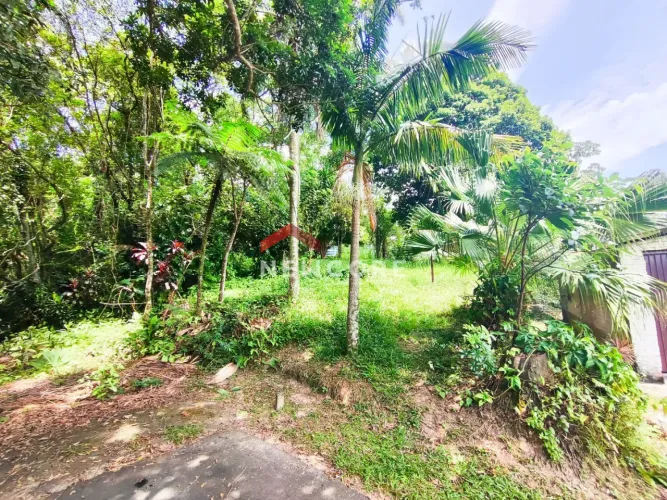 Lote em Rua Antônio Dal Farra - Vila São Jorge - Siderópolis/SC