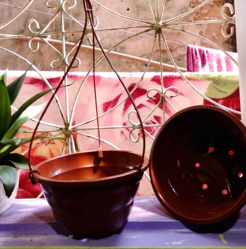Vaso de planta novo 