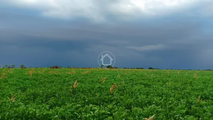 TERRA DE PRIMEIRA JA PRODUZINDO