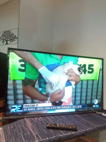 Tv Panasonic 42"