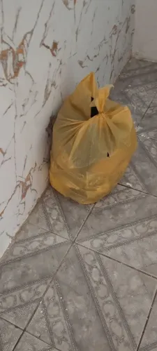 ropas para basa