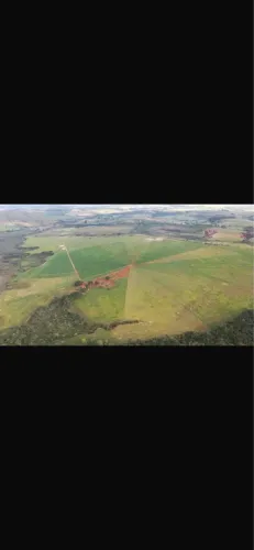 Fazenda 570 ha GADO/LAVOURA