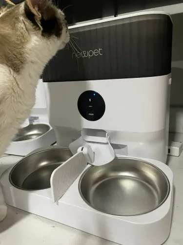 Alimentador automático para pets 
