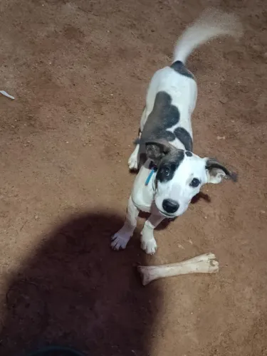 Doação