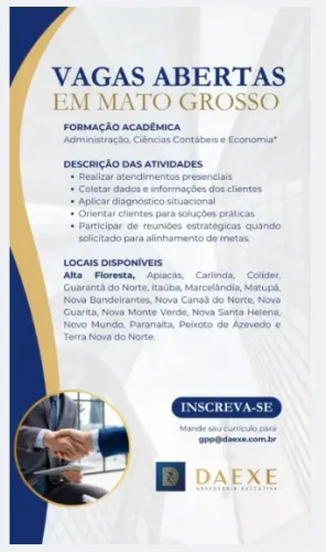 CONSULTOR EMPRESARIAL