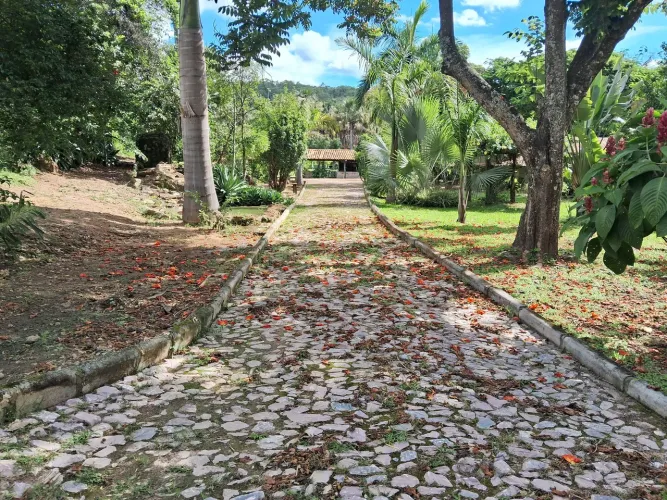 Oportunidade fazenda 63 hec a 60 km do Ceasa 