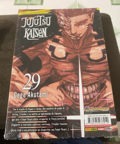 Jujutsu Kaisen Vol 29