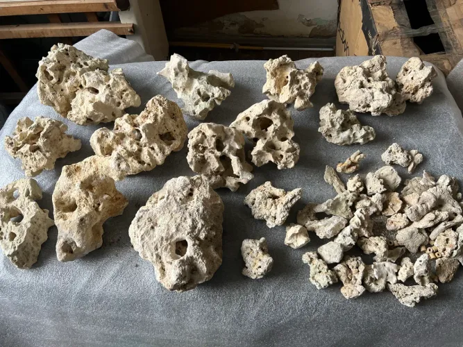 Lote de pedra zanzibar