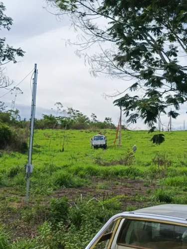 Vendo colônia 86 hectare
