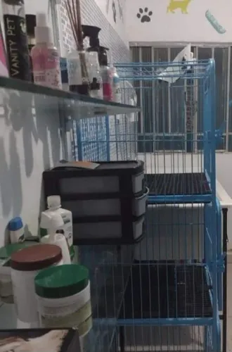 Equipamentos para banho e tosa