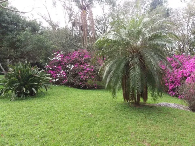 Sítio a venda possui 3.6 hectares, no Espigão, Viamão, com Casa Principal, Galpão, Pomar, 