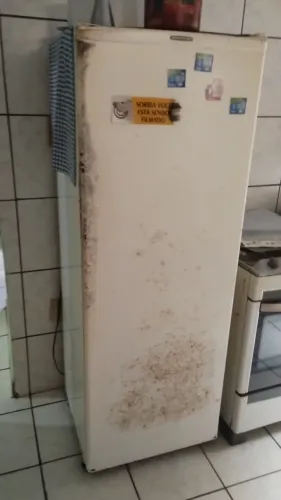 Geladeira funcionando bem