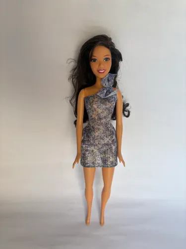 Barbie Gabriela High School Musical