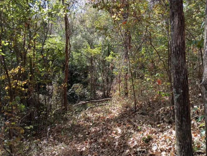 Terreno em Taquaraçu de minas 