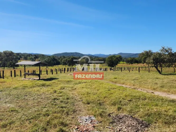 Chácara 16.78 Alqueires (81,23 hectares) Araguapaz - GO