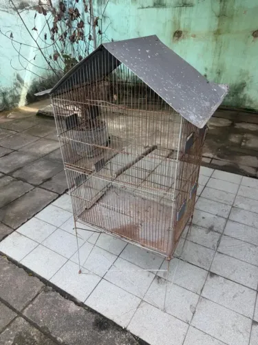 Casa para passarinhos