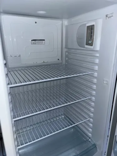 REFRIGERADOR DOMEST 2 PORTAS 334L 220VBR CL-A FRETE
