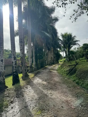 Espetacular Sítio de 22 Alqueires em Iguape - Porteira Fechada com Produção Ativa!