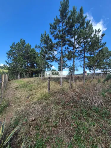 Terreno à venda na Vila Ernestina