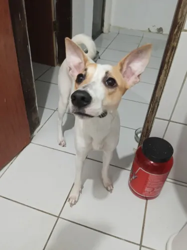 Doação responsável