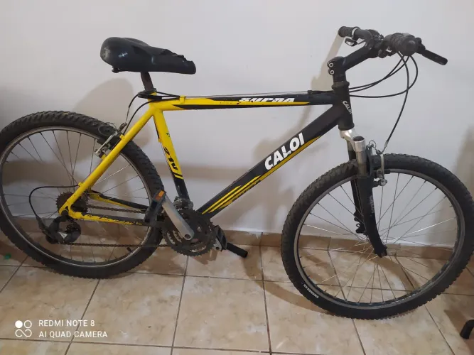 Bicicleta