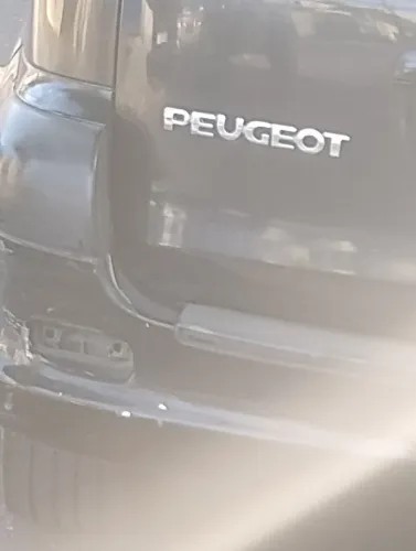 Cano de descarga Peugeot 206