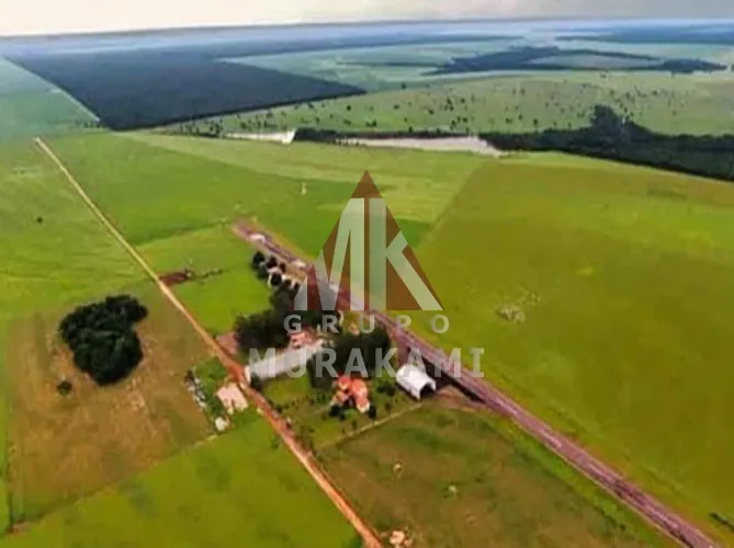 FAZENDA - CANARANA - MT