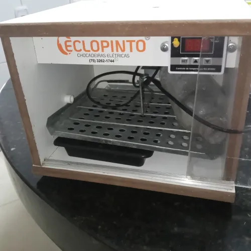 Chocadeira automática semi nova