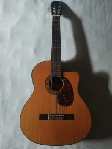 Violão Eletroacustico c/ Capa Mochila/Mala- Eagle CH-800NT