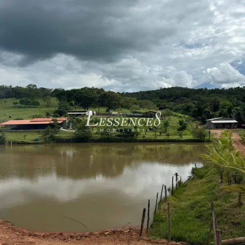 Sítio 5 Alqueires/24,2 Hectares | Porteira Fechada | Abadiânia/GO