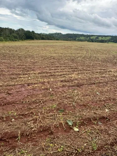 FAZENDA À VENDA NA REGIÃO DE GOIÂNIA 